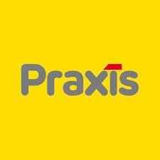 Praxis logo