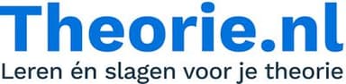 Theorie.nl logo